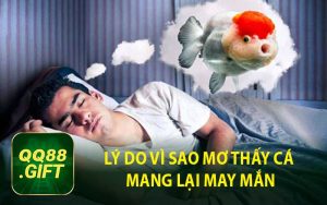 Lý Do Vì Sao Mơ Thấy Cá Mang Lại May Mắn