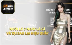 Nuôi lô 7 ngày là gì và tại sao lại hiệu quả?